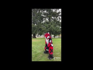 [buyrus play] furry tik tok