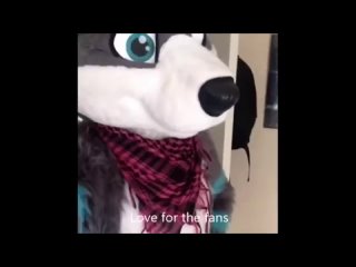 [nalu catfish] my favorite furry vines