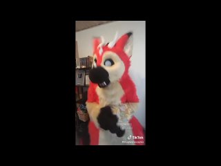 [bairus play] furry tik tok