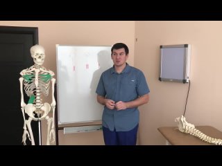 [anton alekseev] correct posture and walking. what muscles shape posture