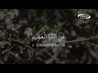 [nur] new beautiful quran reading